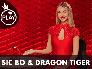 سک بو اور ڈریگن ٹائیگر game thumbnail